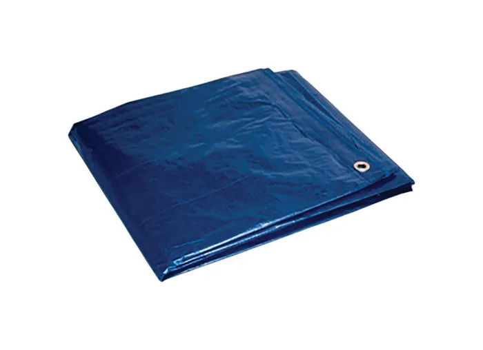 Foremost 6 ft. W X 8 ft. L Light Duty Polyethylene Tarp Blue