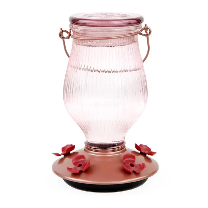 Perky-Pet Hummingbird 24 oz Glass Top-Fill Nectar Bird Feeder 5 ports (Pack of 2)