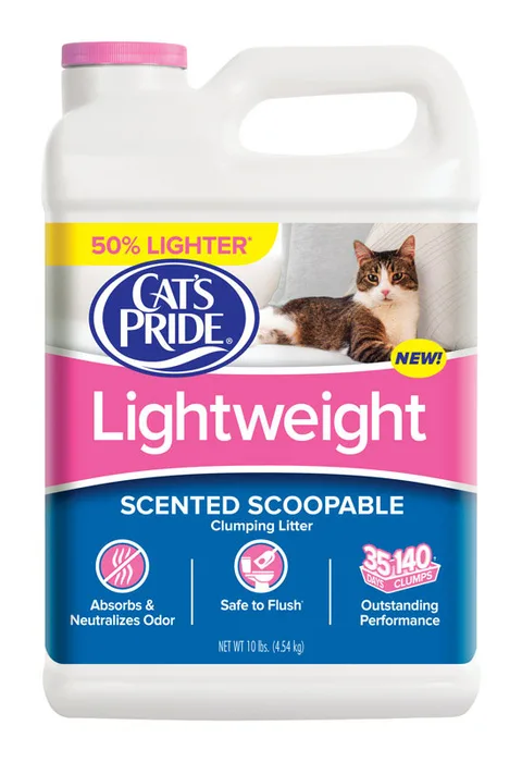 Kitty Litter