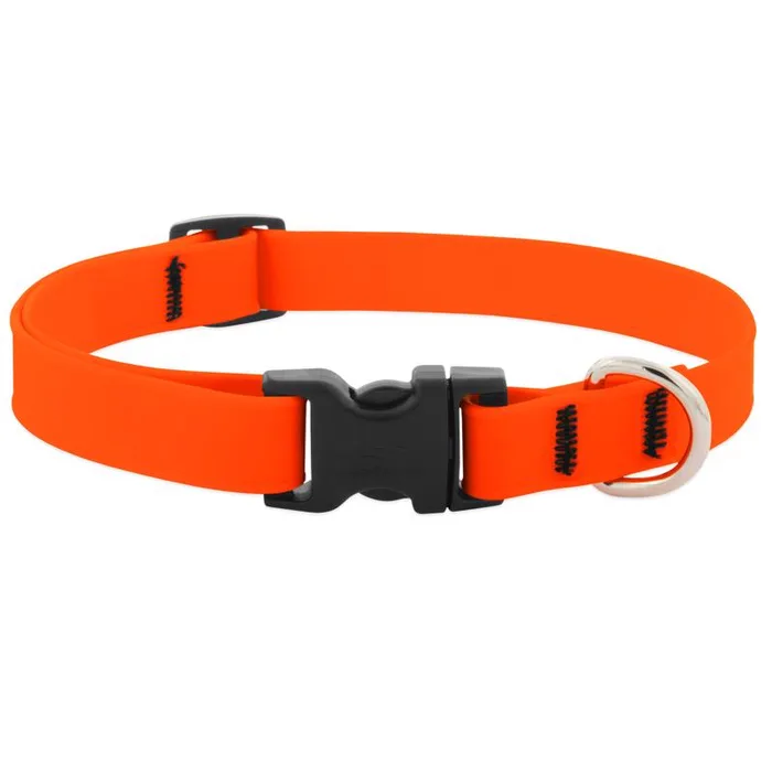 LupinePet Splash Neon Orange BioThane Dog Adjustable Collar Medium
