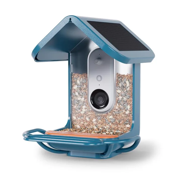 Bird Buddy 4 cups Plastic Perch Extender Smart-Enabled Smart Solar Camera Bird Feeder 1 ports