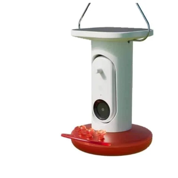 Bird Buddy Hummingbird 1.75 cups Plastic With Extra Base Smart-Enabled Smart Solar Camera Bird Feede
