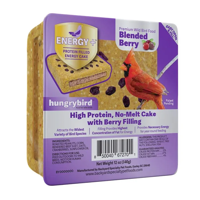 Hungrybird Suet 12 oz (Pack of 12)