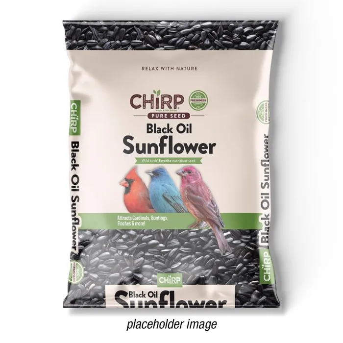 Chirp Black Oil Sunflower Wild Bird Food 10 lb