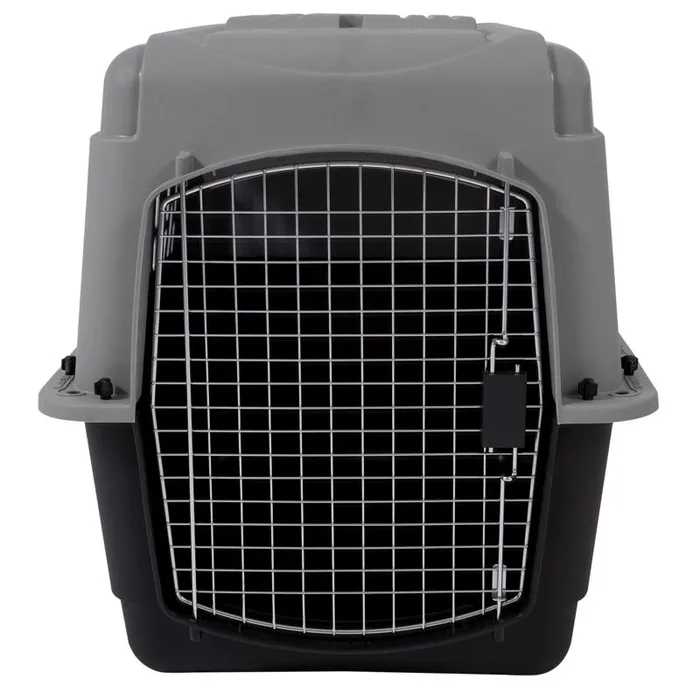 Aspen Pet Pet Porter Medium Plastic Pet Kennel Gray 24 in. H X 22.5 in. W X 32 in. D