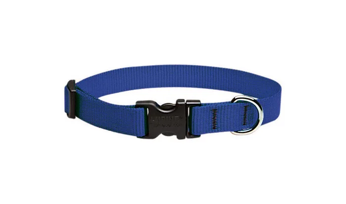 LupinePet Basic Solids Blue Blue Nylon Dog Adjustable Collar