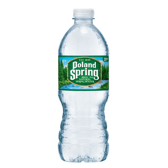 Nestle Waters Poland Springs Spring Water 20 oz 1 pk (Pack of 24)