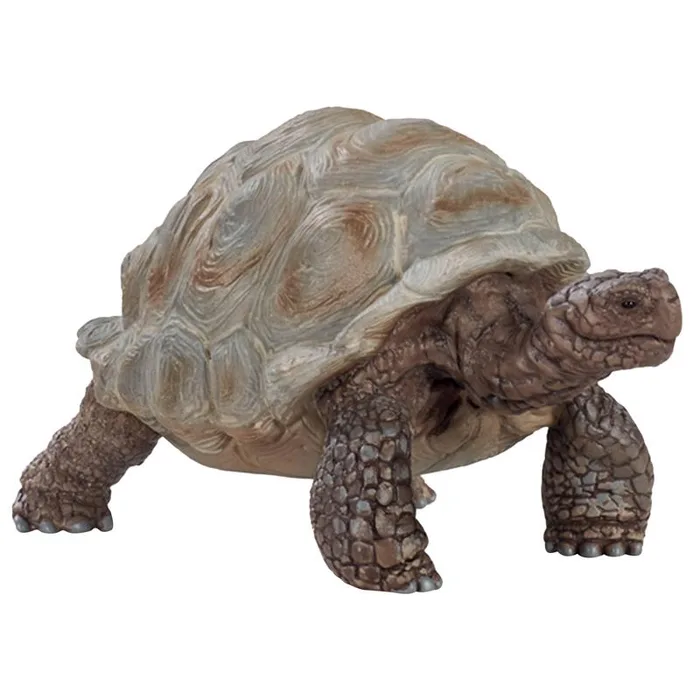 Schleich Wild Life Giant Tortoise Toy Beige/Brown (Pack of 5)