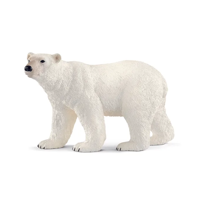 Schleich Wild Life Polar Bear Toy White (Pack of 5)