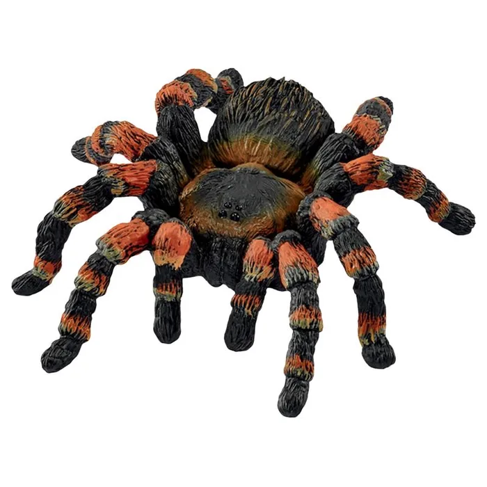 Schleich Wild Life Tarantula Toy Multicolored 1 pc (Pack of 5)