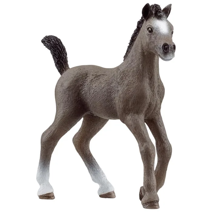 Schleich Cheval de Selle Francais Foal Gray (Pack of 5)