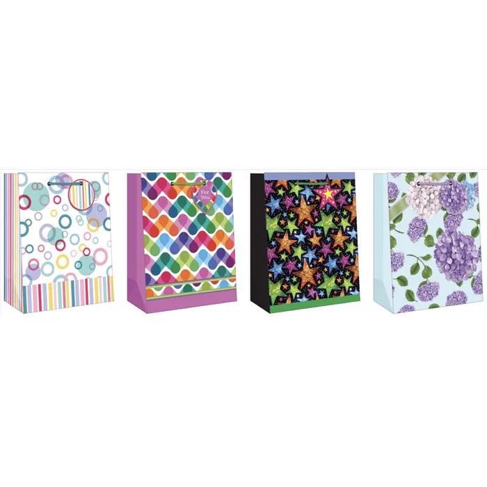Paper Images Assorted General Designs Medium Gift Bag (Pack of 12)