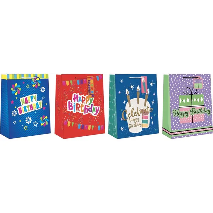 Paper Images Assorted Large Generic Birthday Gift Bag (Pack of 12)