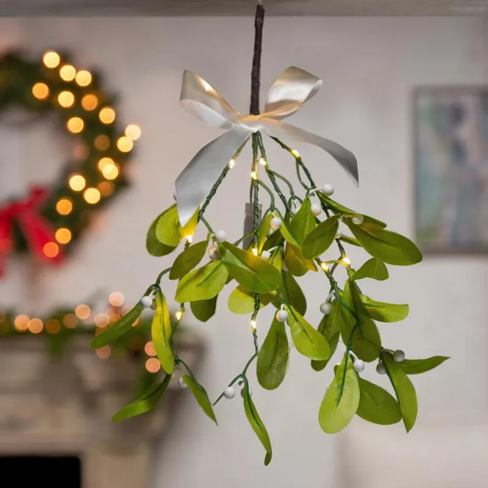 Gerson Mistletoe Branch with Warm White LED Lights Hanger 12 in. (Pack of 24)