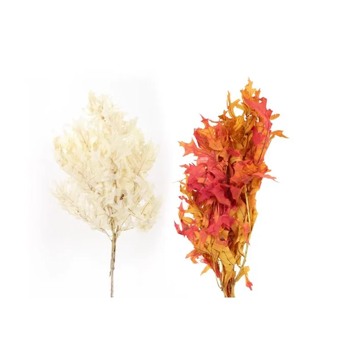 Second Nature Woodsy Oak Leaves Fall Decor (Pack of 24)