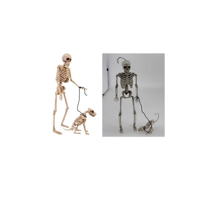 Fun World 14 in. Skeleton Walker Asst Halloween Decor (Pack of 12)