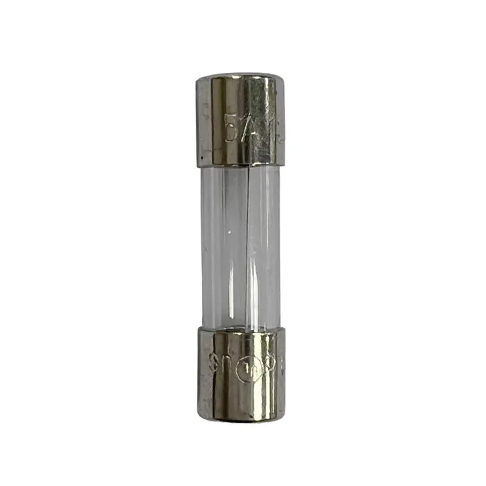 Celebrations Clear 2 ct Replacement 5Amp Fuse (Pack of 25)