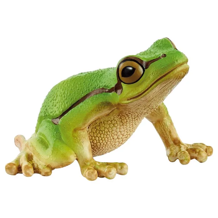 Schleich European Tree Frog Figurine Multicolored (Pack of 5)