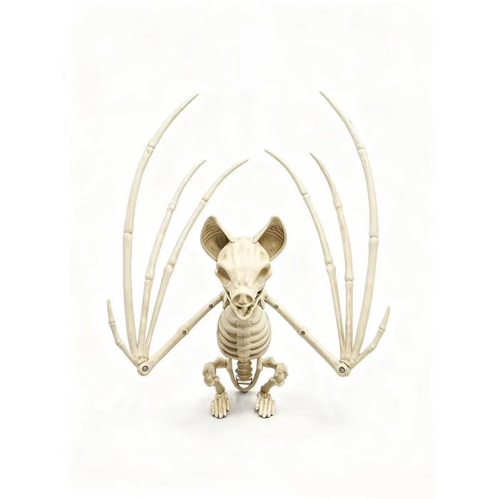 Decra Lite Skeleton Bat Halloween Decor (Pack of 6)