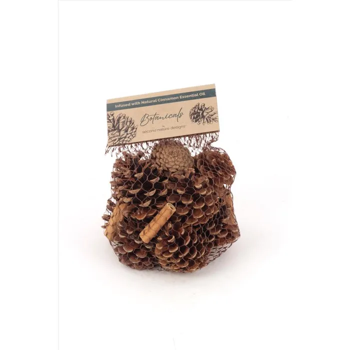 Second Nature Cinnamon Scented Pinecones Table Decor (Pack of 24)