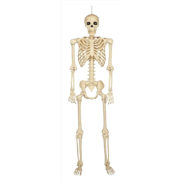 Seasons 60 in. Skeleton Halloween Decor