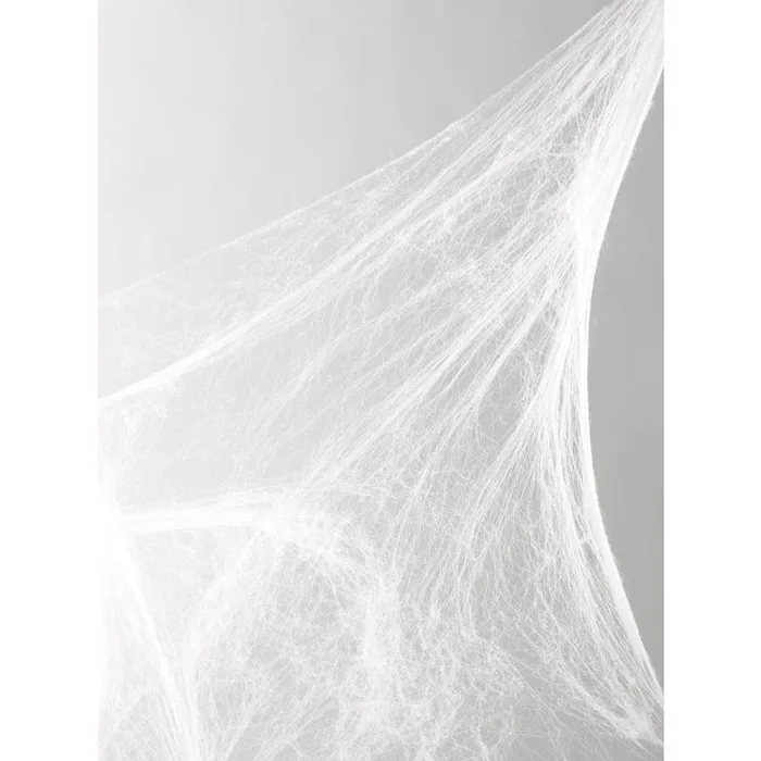 Fun World 18 in. Spider Web Halloween Decor (Pack of 36)