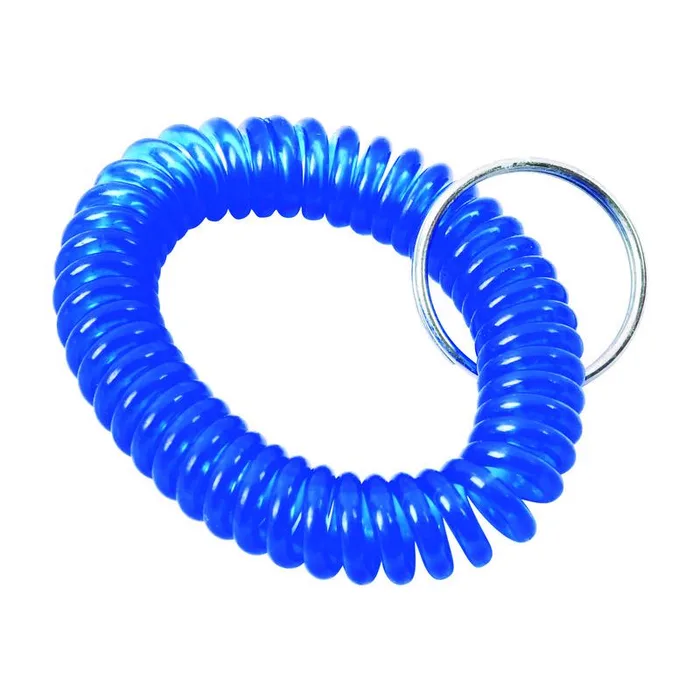 Home Plus Vinyl Blue/Silver Coiled Key Ring (Pack of 60)